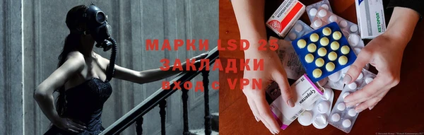 сатива Новодвинск