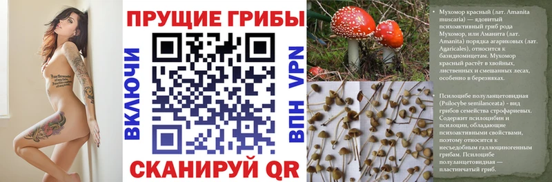 Псилоцибиновые грибы Magic Shrooms  купить наркотик  МЕГА ссылка  Уссурийск 